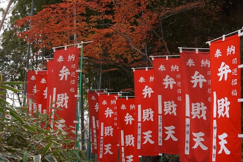 DSC05959