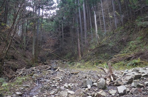 DSC03388