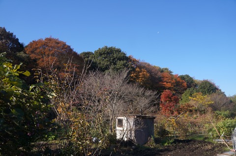 DSC05020
