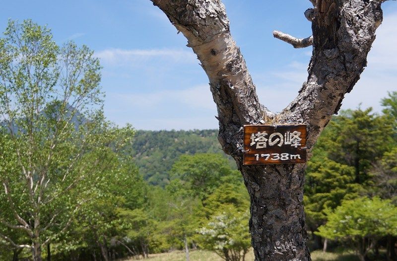 イメージ 7