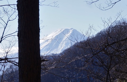 DSC09866