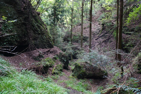 DSC08003