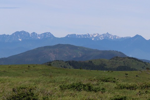 IMG_3568