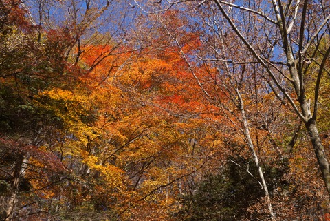 DSC08460