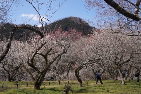 DSC00062