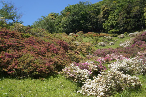 DSC07378