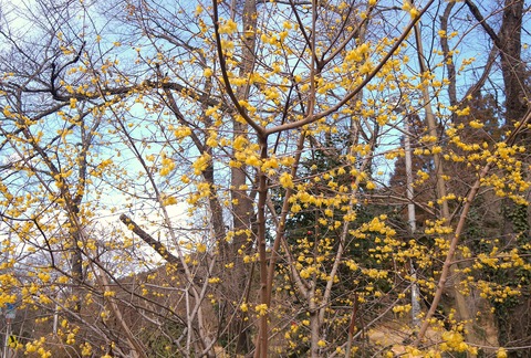 DSC00028