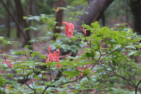 DSC01899