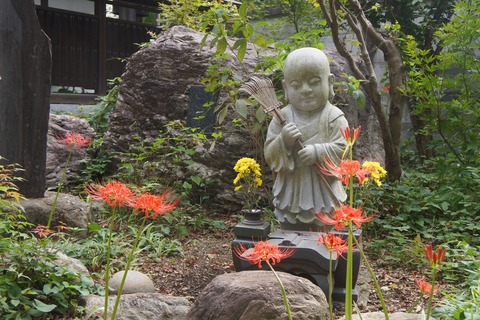 DSC02471