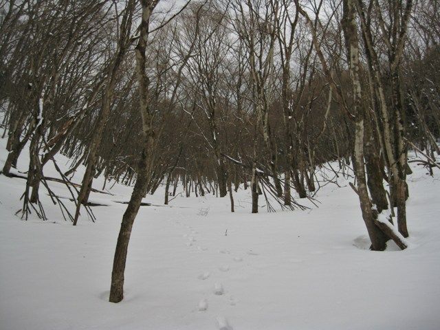 イメージ 6