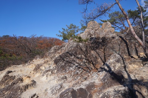 DSC05749