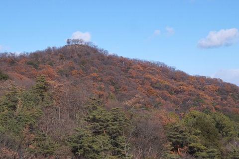 DSC05790