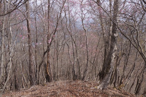 DSC01217