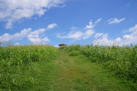DSC07768 (2)