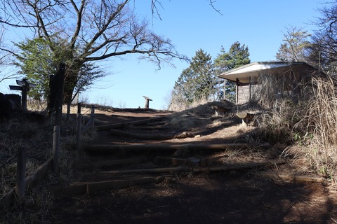 IMG_9533