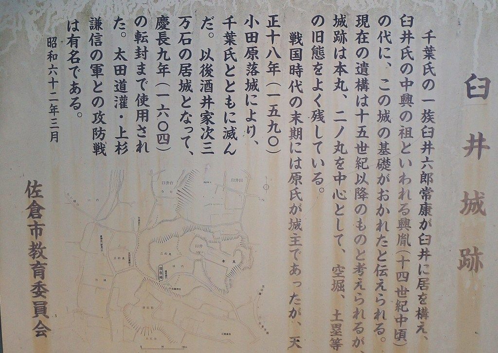 イメージ 5