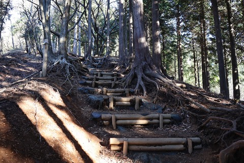 IMG_8878 - コピー