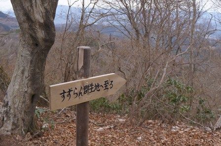 イメージ 7