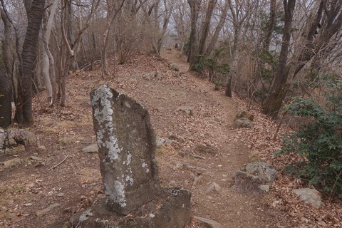 DSC00322