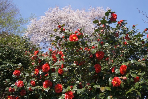 DSC00257