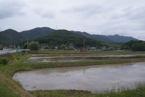 DSC07657