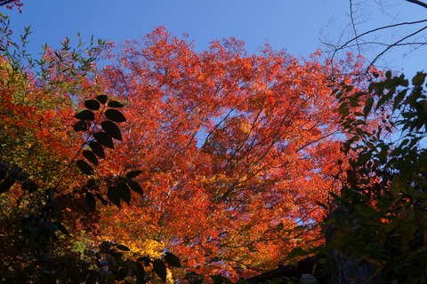 DSC08504