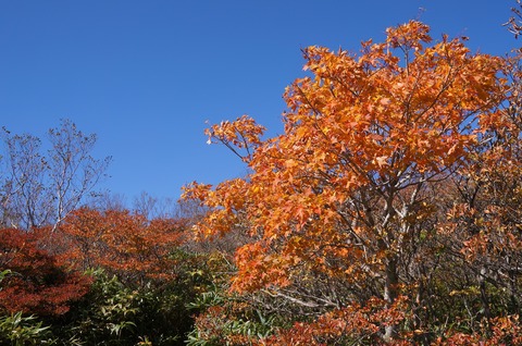 DSC08067