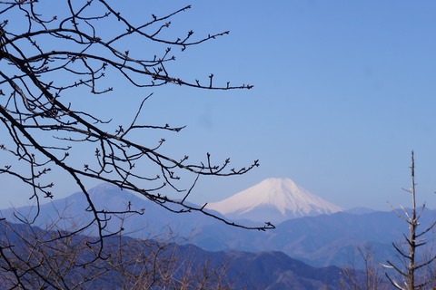 DSC00011
