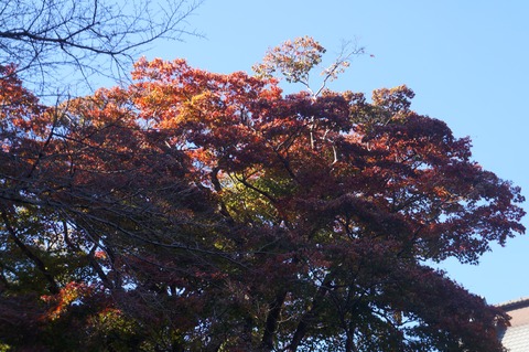 DSC08761
