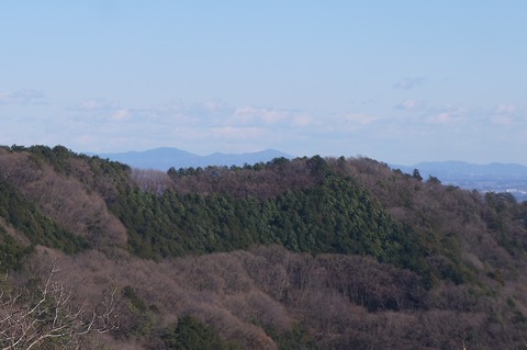 DSC05904