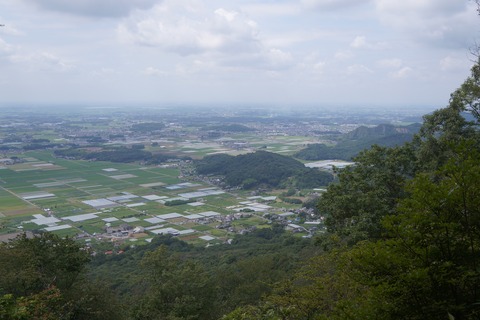 DSC02021