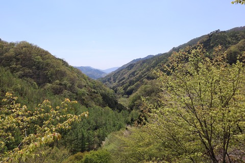 IMG_0509