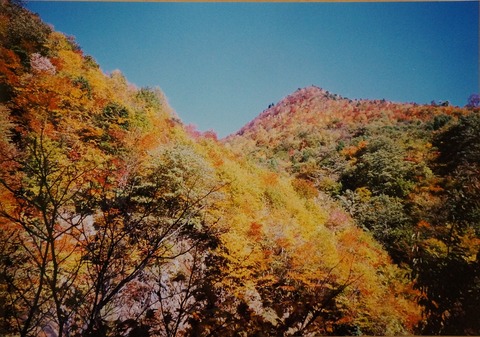 DSC04385三国山林道