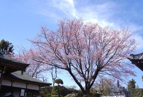 DSC06405