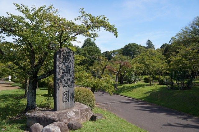 イメージ 7