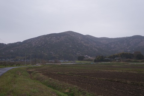 DSC00584