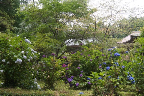 DSC02042