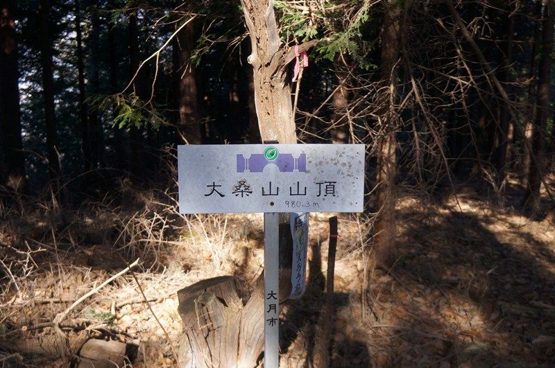 イメージ 13