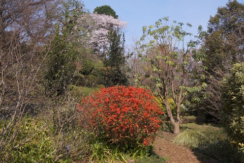 DSC00245