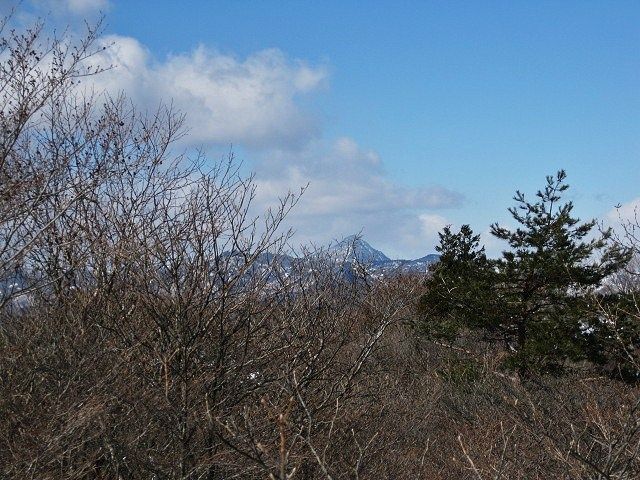 イメージ 12