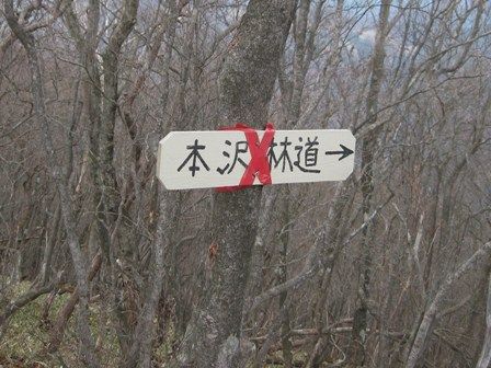 イメージ 12