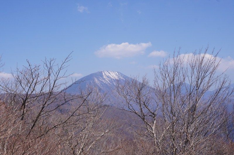 イメージ 3