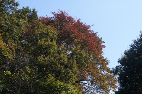 DSC08153
