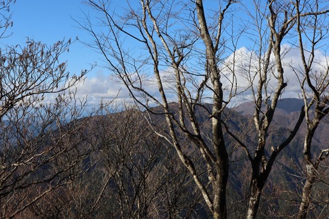 IMG_8886 - コピー