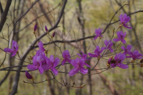 DSC00967