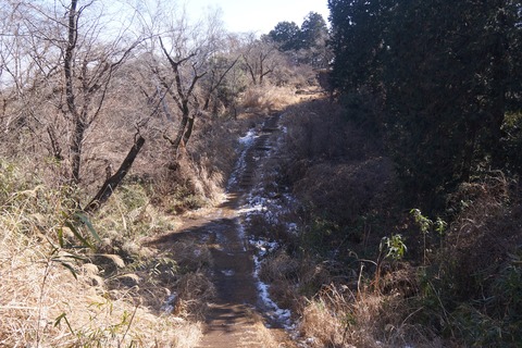 DSC09716