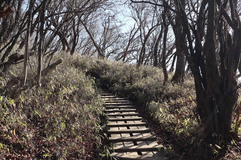 IMG_8887 - コピー