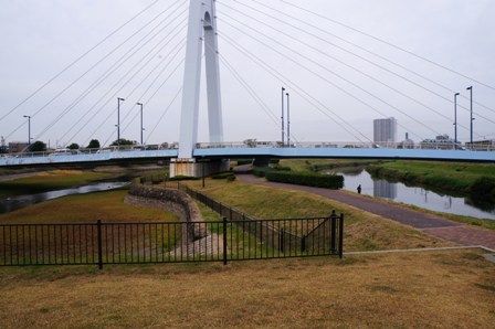 イメージ 7