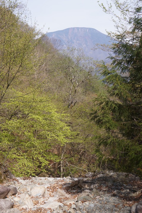DSC01198
