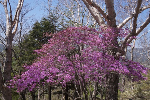 DSC01741